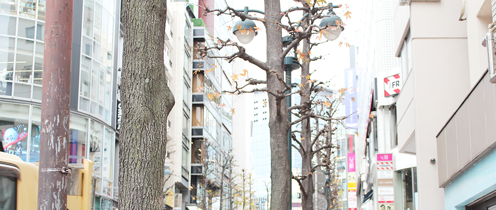 渋谷 街路樹